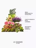 Karta Aromatike Lavandë Super - Image 3